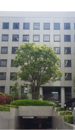 青山ビル東館